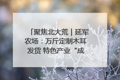 聚焦北大荒｜延军农场：万斤定制木耳发货 特色产业“成绩单”亮眼